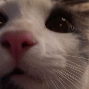 Meet your Posher, Brooklynn